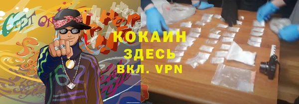 прущие грибы Лагань