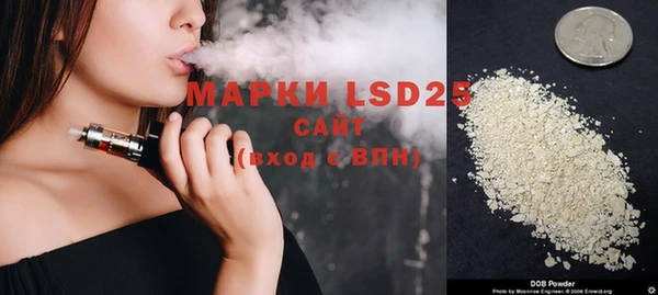 прущие грибы Лагань