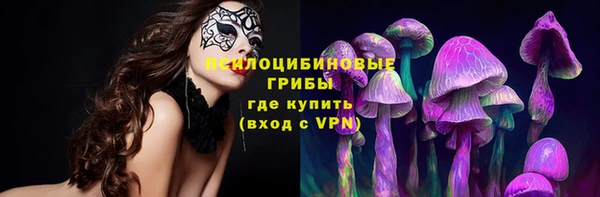 мдма Ладушкин