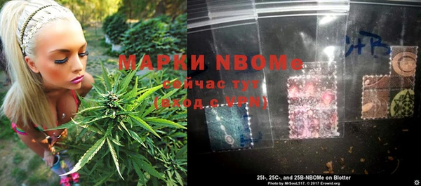 прущие грибы Лагань
