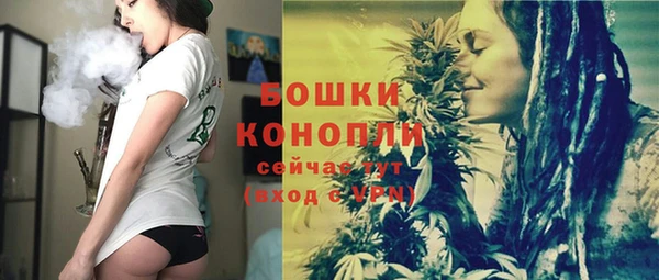 прущие грибы Лагань