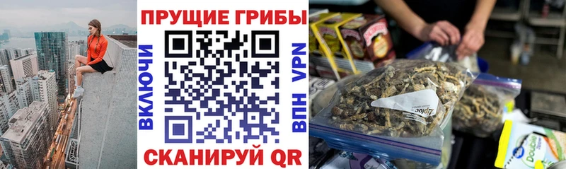 Псилоцибиновые грибы прущие грибы  цены   Воронеж 